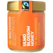 Equal Exchange Chilean Ulmo Blossom Honey 500g